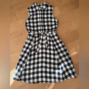 Banana Republic Women’s Navy and White Checked Shirtwaist Dress